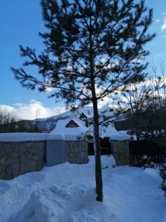 Domek Zakopianska Chata Zakopane Eksteriør bilde